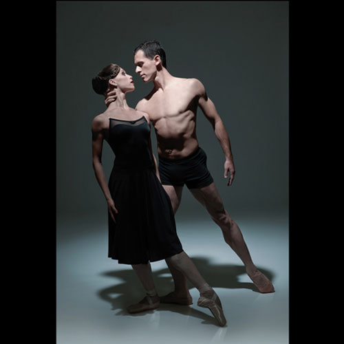 �ڥ������⥢�ۻҶ��ѡ�FADO �ե��ɡ�����饯���������ѡ��Ҥ��������󥰥�������