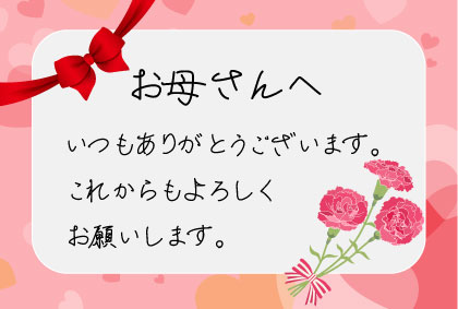 【2026年母の日】特別詰合せセット11個入り＜送料込み＞