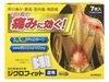 ジクロフィット ７枚入　経皮鎮痛消炎薬 【第２類医薬品】