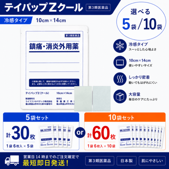 テイパップZクール 6枚×5袋(計30枚)/10袋（計60枚）選択制｜冷感｜第3類医薬品｜テイコクファルマケア