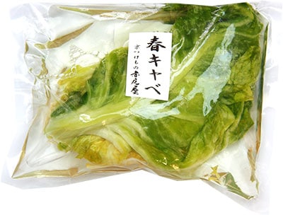 春キャベ