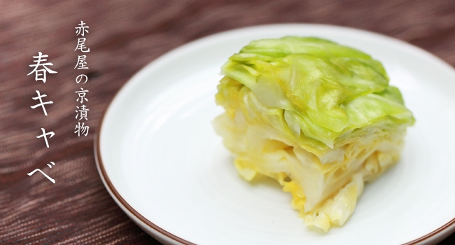 春キャベ