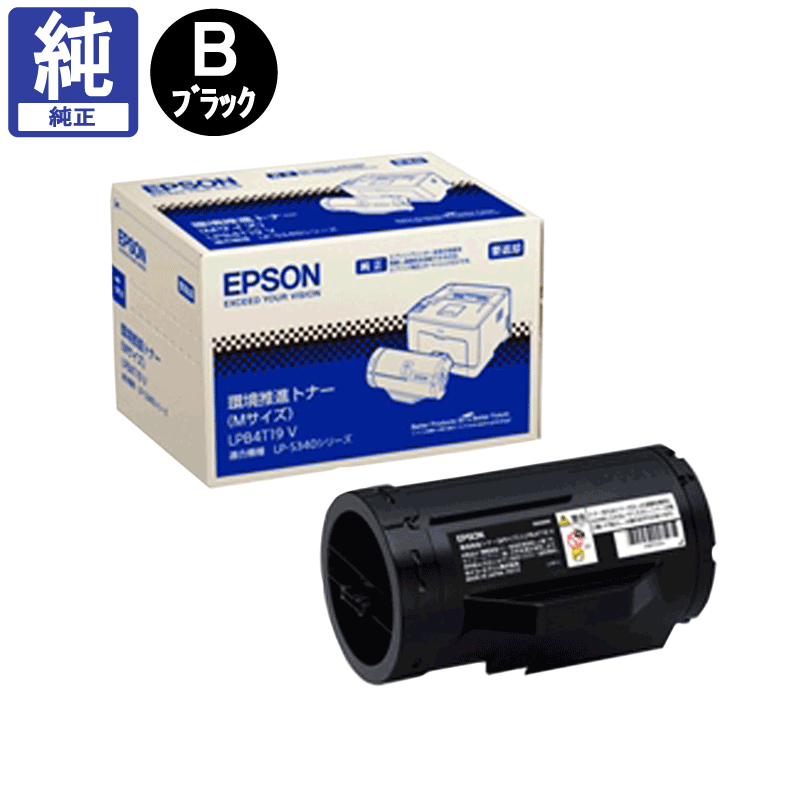 ���ץ��� �Ķ���ʥȥʡ� LPB4T19V ����