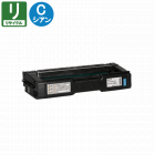 ꥳ ꥵȥʡ P C300H   ꥵ (ʺ)