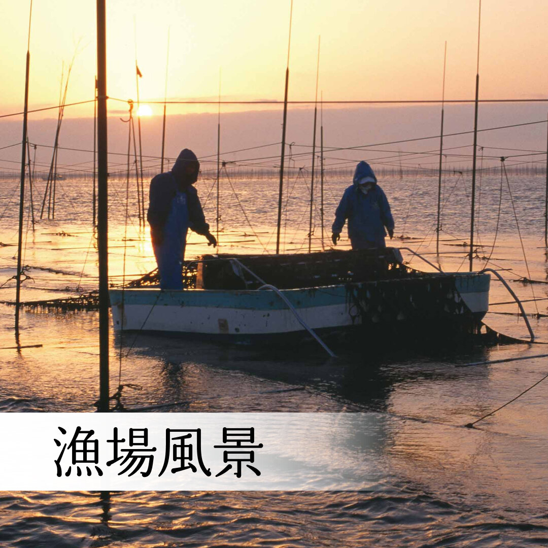 広島産かき味付け海苔 汐紫｜海苔匠安芸郷の公式通販