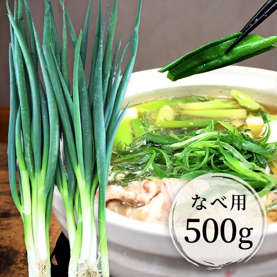 京都・山城 京野菜「なべ用太ねぎ」500g
