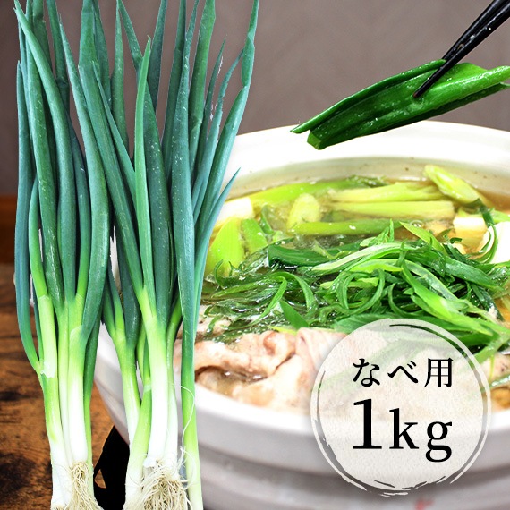 すべての商品 | 京都・山城のねぎ 秋田農園オンラインショップ | 京都