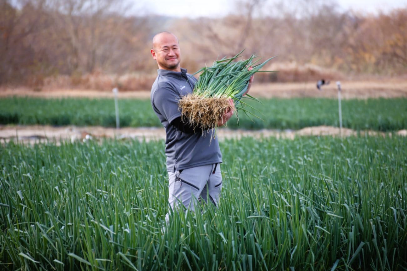 京都･山城　京野菜「山城のねぎ」1kg