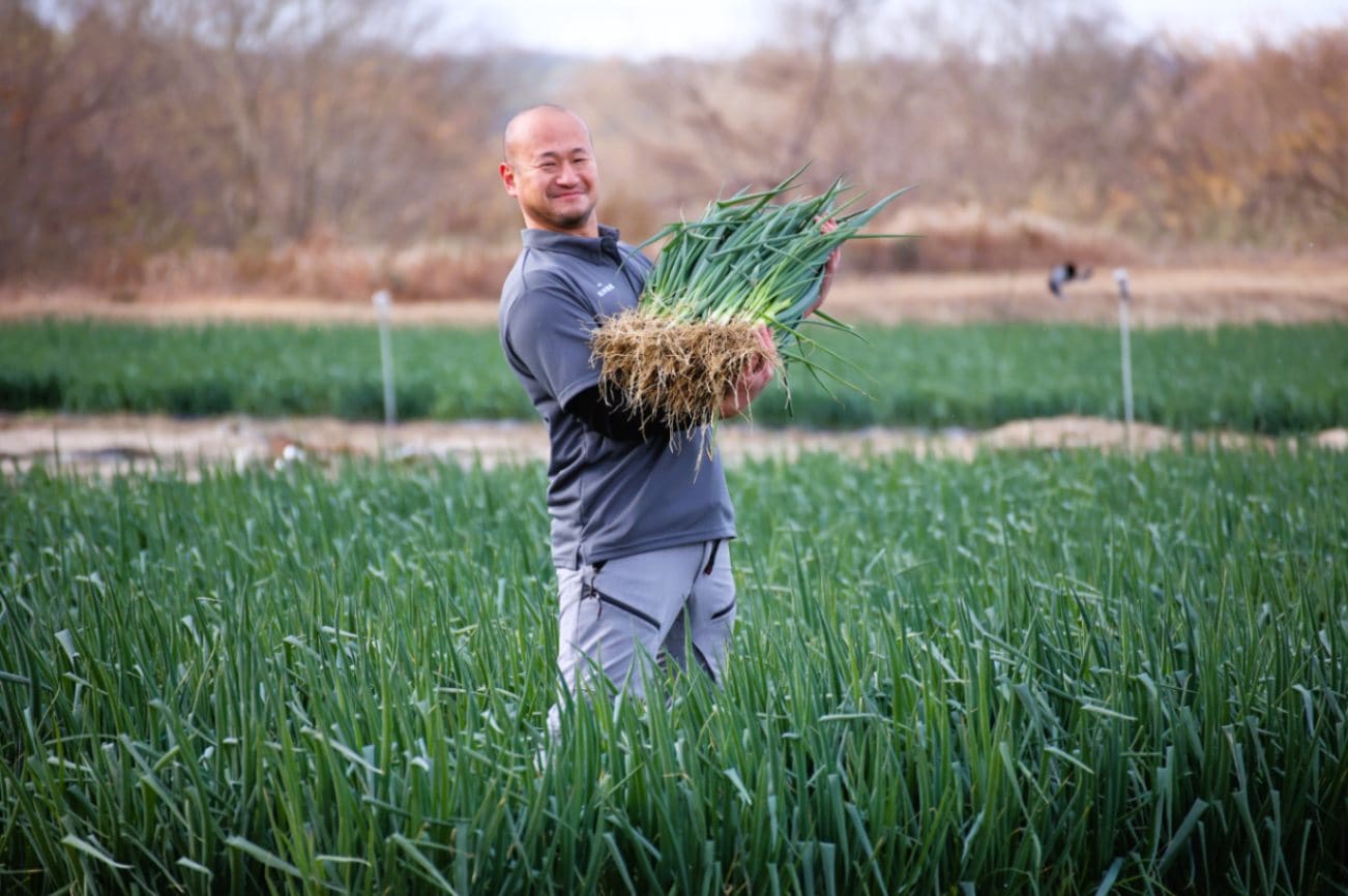 京都･山城　京野菜「山城のねぎ」2kg(太め)