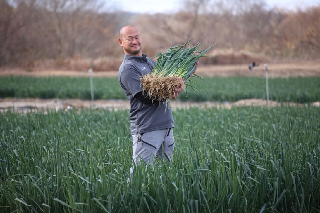 京都・山城 京野菜「山城のねぎ」4kg