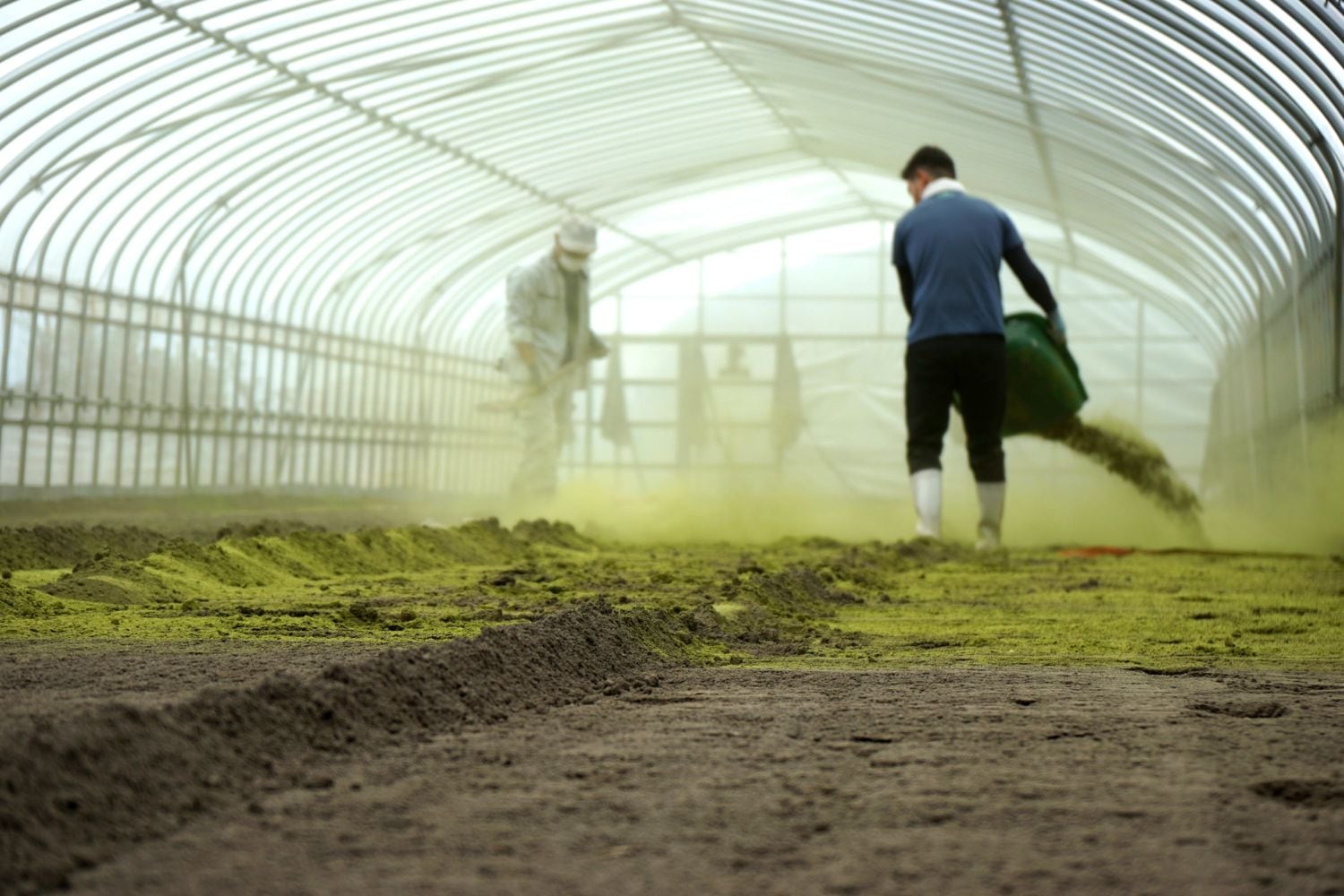 伊右衛門でお馴染みの福寿園様から茶葉をいただき、それを堆肥として使用しています。