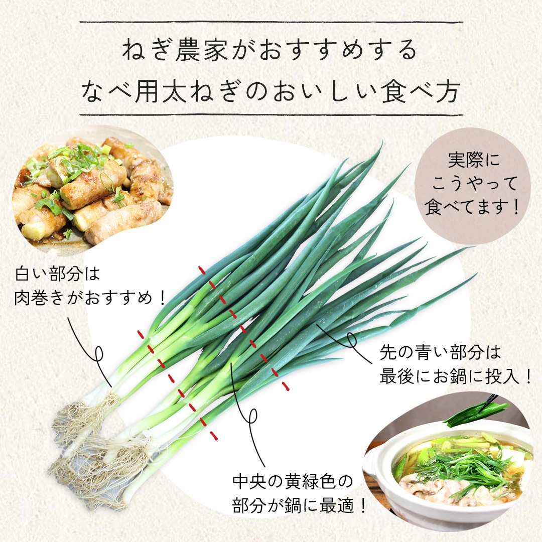 京都・山城 京野菜「なべ用太ねぎ」1kg
