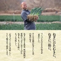 ねぎに恋するメンチボール（12個入り×１袋）