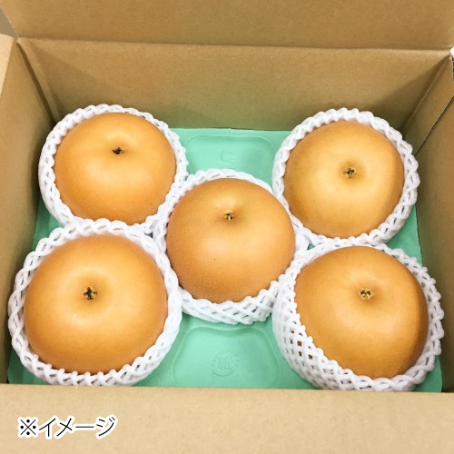 ��9����ܡ���˭�� 2kg��4��6�̡ˡ���������