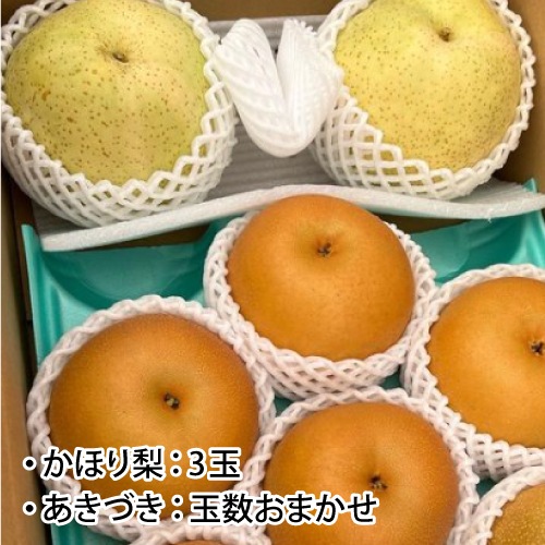 ��9��ܡ���2�糧�å� 5kg����������