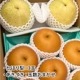 ��9��ܡ���2�糧�å� 5kg����������