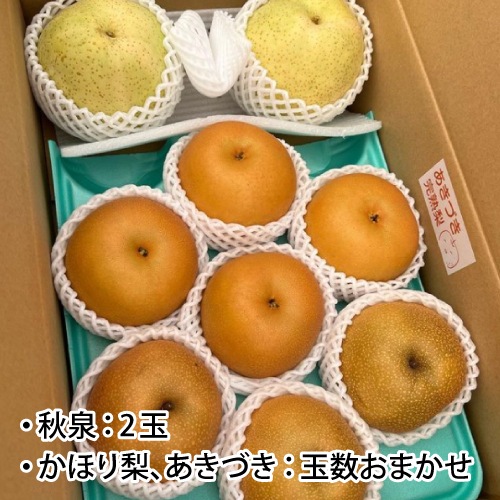 ��9��ܡ���3�糧�å� 5kg����������