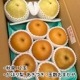 ��9��ܡ���3�糧�å� 5kg����������
