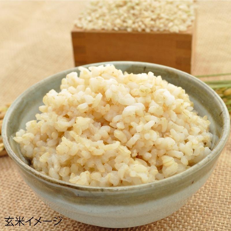 ����������佩�ĸ����¼�����������ޤ��ֶ����ơ������ơ����ơˡ�5kg