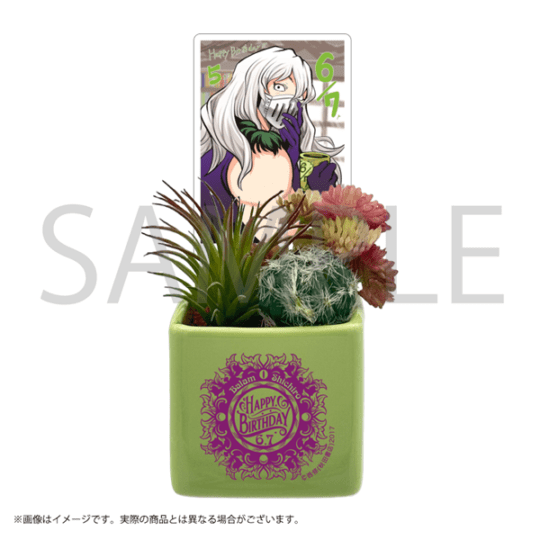 魔入りました!入間くん 観葉植物アレンジメント／バラムバースデー