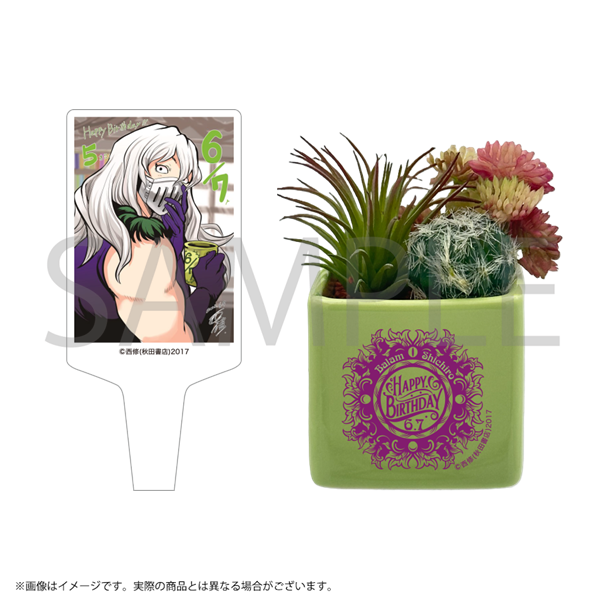 ハマ様　板書分 魔入りました!入間くん 観葉植物アレンジメント／バラムバースデー