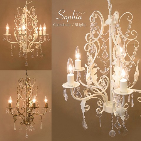 ǥꥢSophia ե5ˡϡE12/뷿