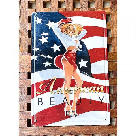 ����ƥ������᥿�륨��ܥ��ץ졼�ȡ�S [American BEAUTY]