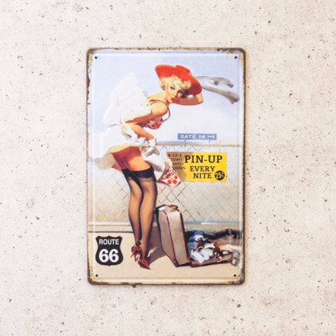 ����ƥ������᥿�륨��ܥ��ץ졼�� [PIN-UP]