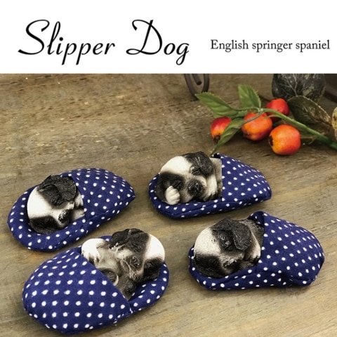 ��SALE�� ����å� in �������Υ��󥰥�å��她�ץ�󥬡����ѥ˥����