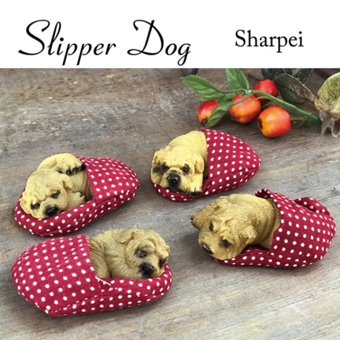 ��SALE�� ����å� in �������Υ��㡼���ڥ���