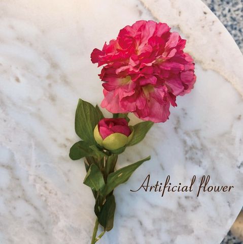 SALE¤֡Υԥˡץ졼/ 