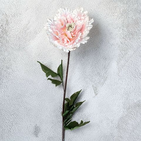 SALE¤֡Υԥˡץ졼/ 