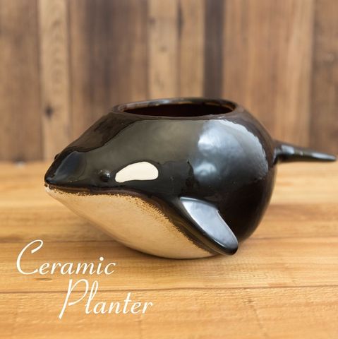 セラミックシリーズの卸向け商品一覧｜秋月貿易オンラインショップ