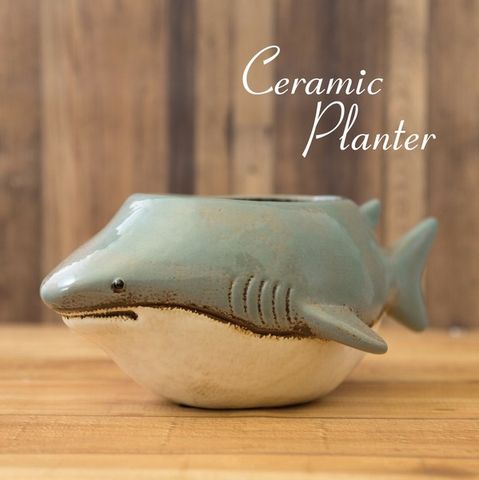 ����ߥå��ץ�󥿡���Shark �����