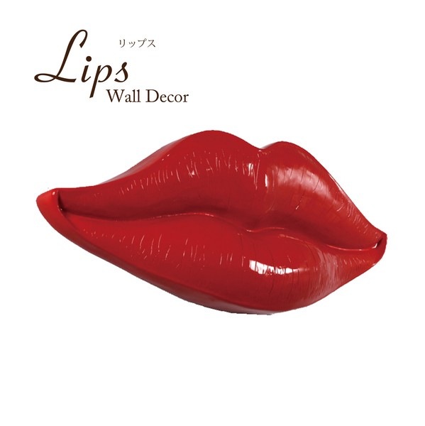 �������������緿�ե����奢�Υ�åס���������ǥ��ϡ�Ʊ���Բ�/��������/����̵���оݳ���