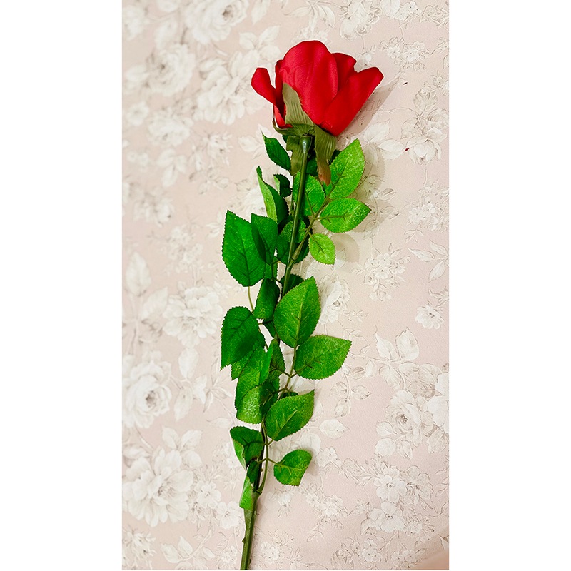 ��SALE��¤�֡Υ���������������