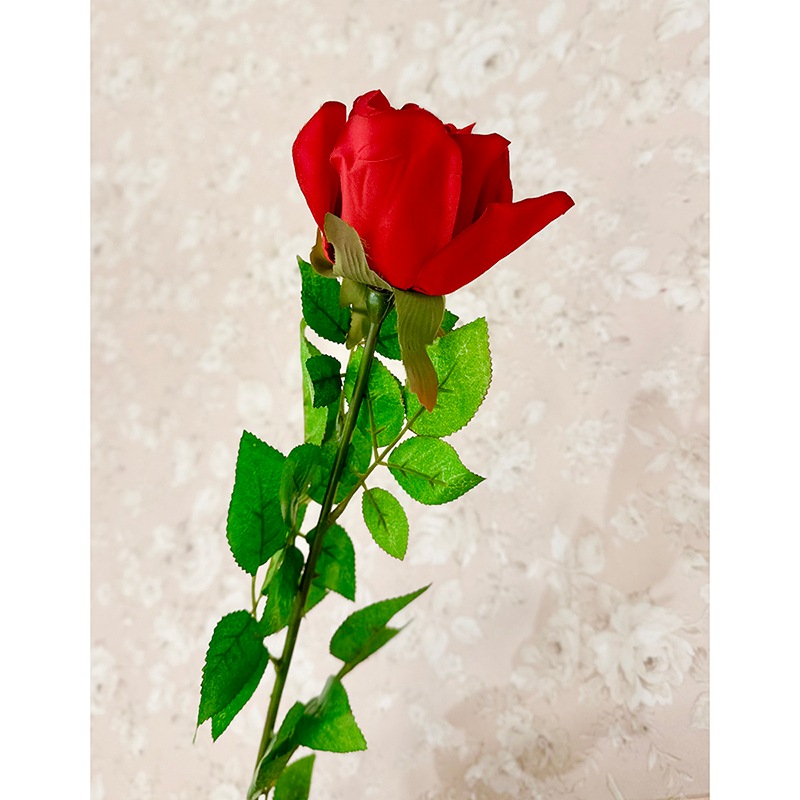 ��SALE��¤�֡Υ���������������