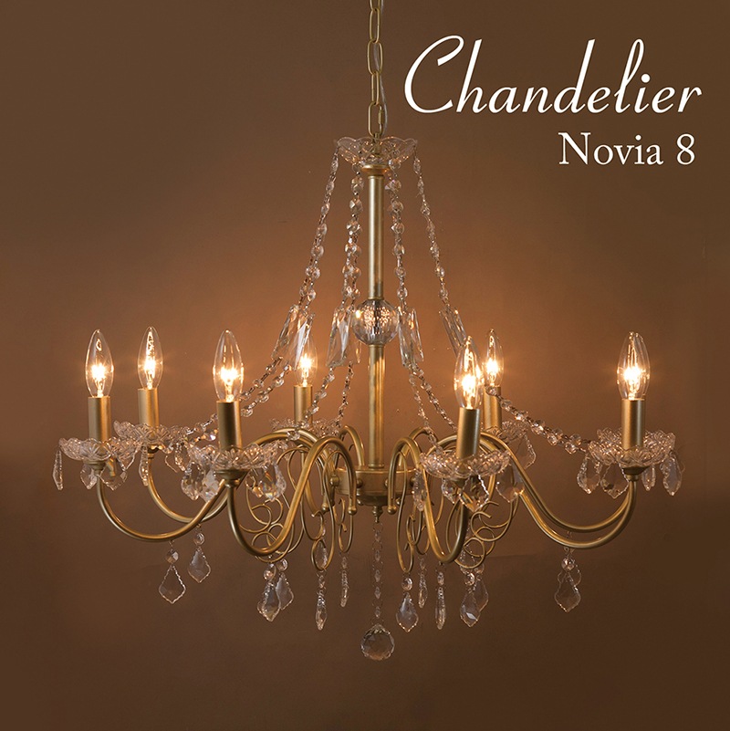 ��SALE/�߾����ۥ��ꥹ���� �����ǥꥢ��Novia���Υӥ���8���ˡϡ�E12/���뷿��