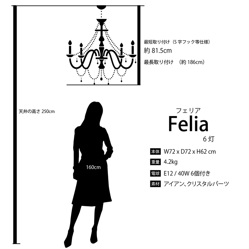 ߾ۥꥹ ǥꥢFeliaեꥢ6ˡϡE12/뷿