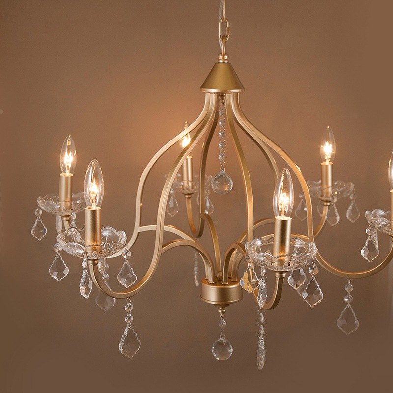 ߾ۥꥹ ǥꥢFeliaեꥢ6ˡϡE12/뷿