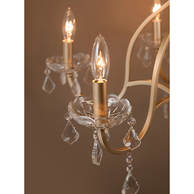 ߾ۥꥹ ǥꥢFeliaեꥢ6ˡϡE12/뷿