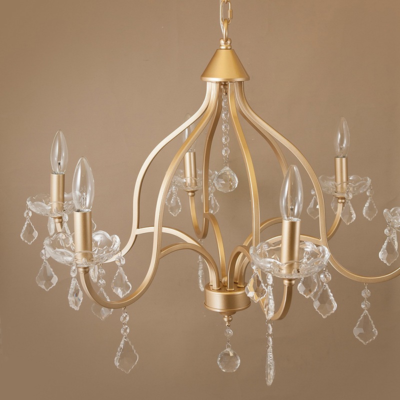 ߾ۥꥹ ǥꥢFeliaեꥢ6ˡϡE12/뷿