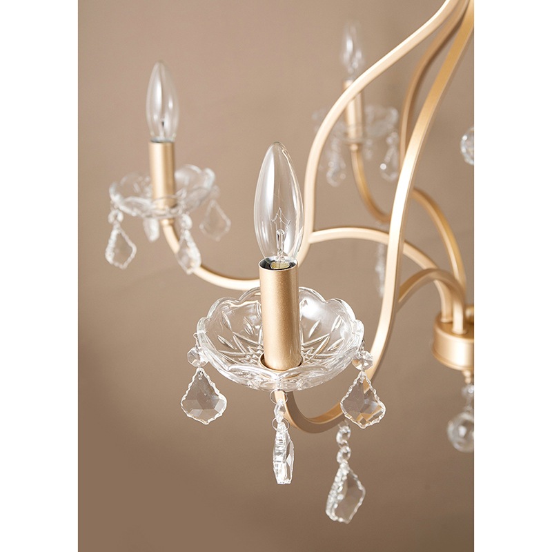 ߾ۥꥹ ǥꥢFeliaեꥢ6ˡϡE12/뷿