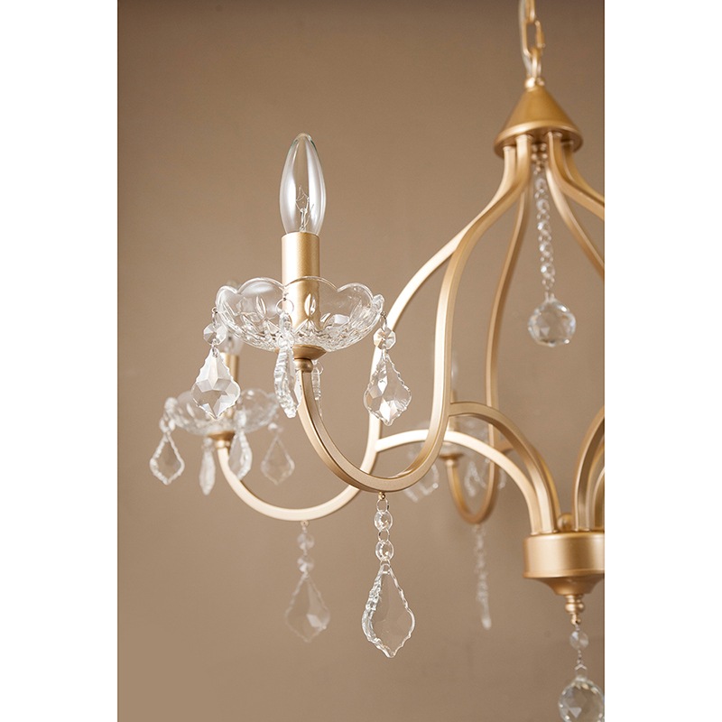 ߾ۥꥹ ǥꥢFeliaեꥢ6ˡϡE12/뷿