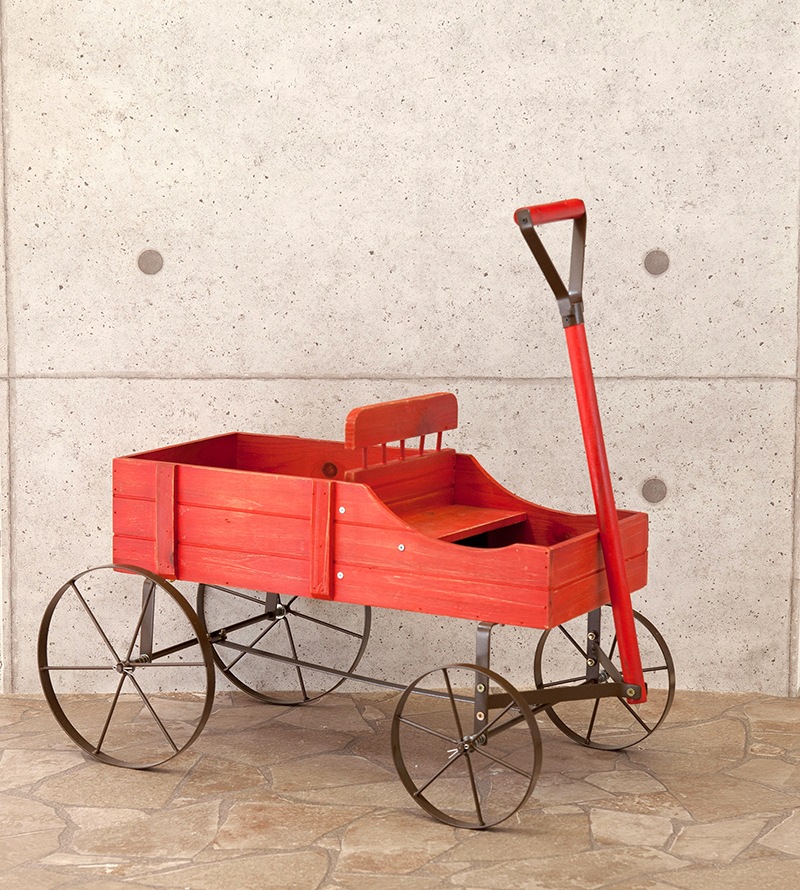 Liberte' ��٥�ơ�[���åǥ�ץ�󥿡�������]