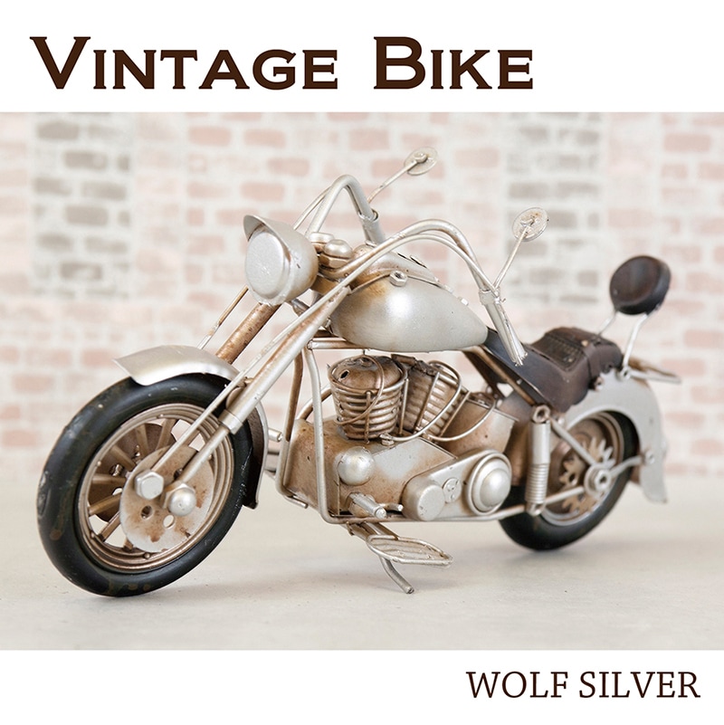 ������ơ������⡼�������������SILVER��WOLF��