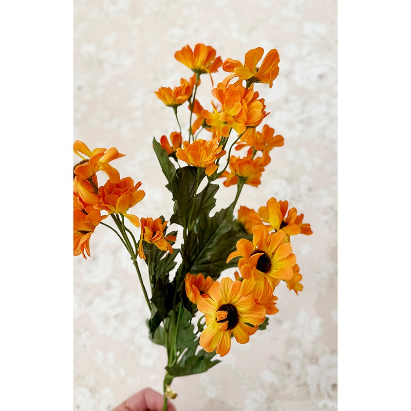 ��SALE��¤�֡Υ磻��ɥǥ�������