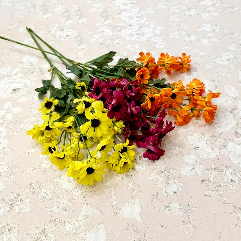 ��SALE��¤�֡Υ磻��ɥǥ�������
