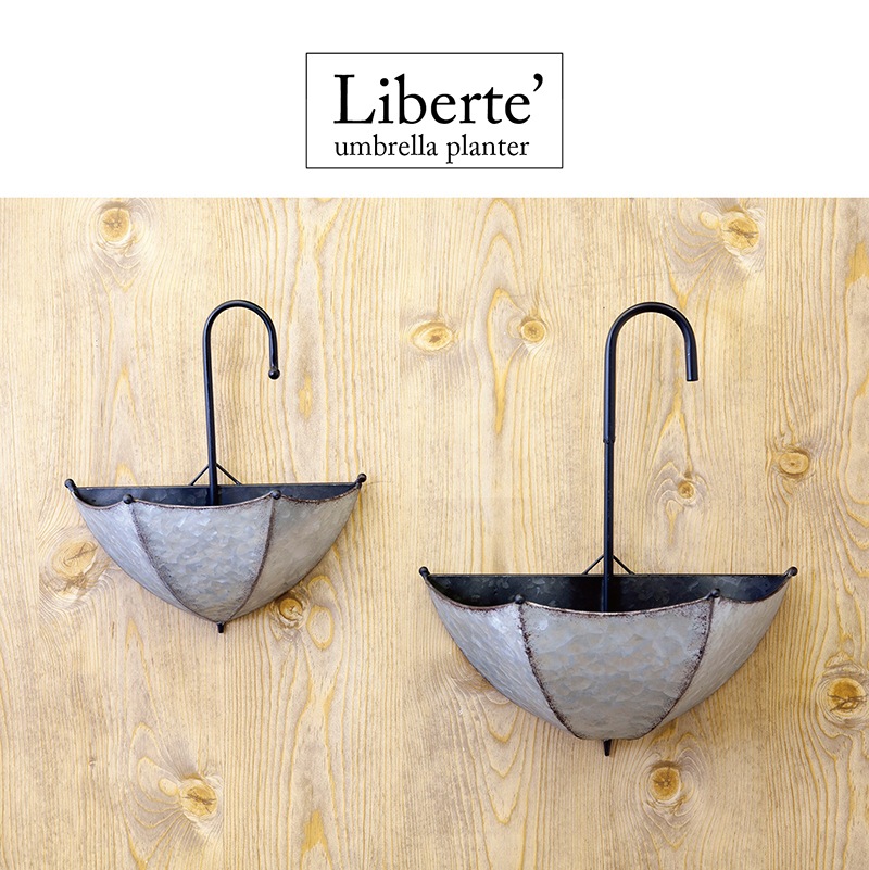 Liberte' ��٥�ơ�[����֥��ץ�󥿡���S/L���å�]