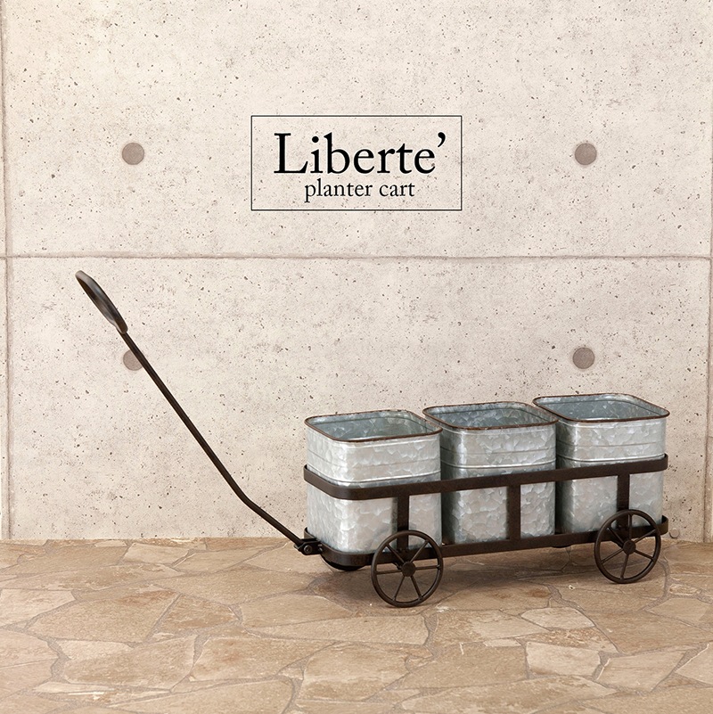 Liberte' ��٥�ơ�[�֥ꥭ�ץ�󥿡�������]